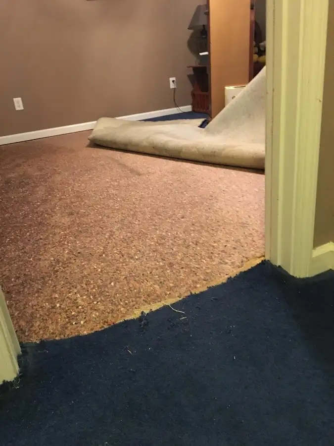 Carpet pad removal revealing water damage during Water Mitigation Services in Trenton